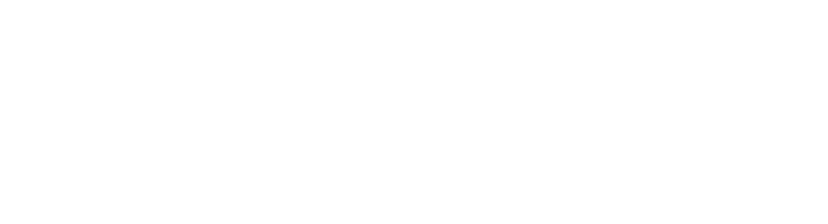 RD Debt Fund 2 Logo